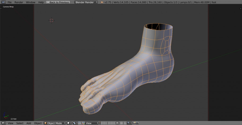 foot right human preview image 1